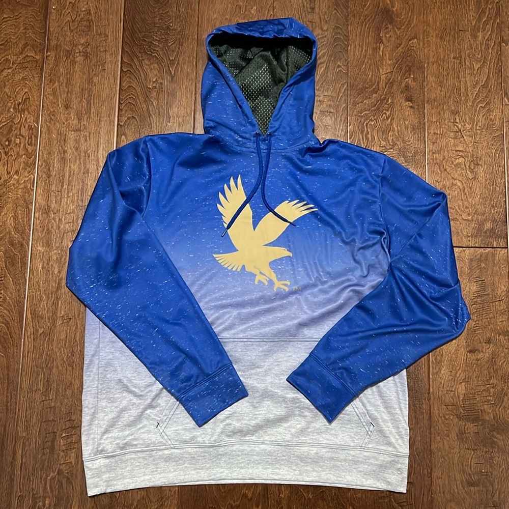 Embry Riddle Hoodie